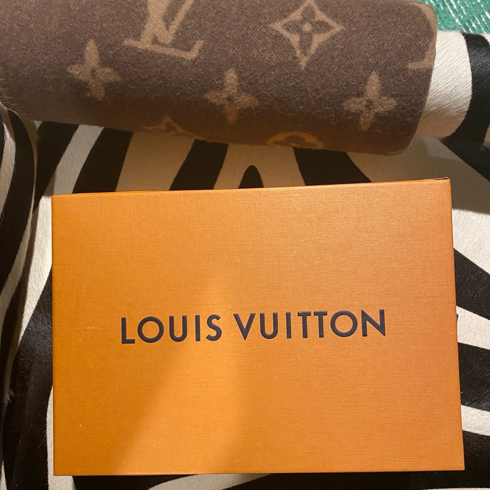 Louis Vuitton shoe box